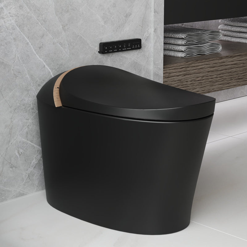 DeerValley DV-1S0160 Premium matte black smart bidet toilet