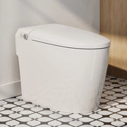 HOROW T30-NE non electric bidet toilet front view