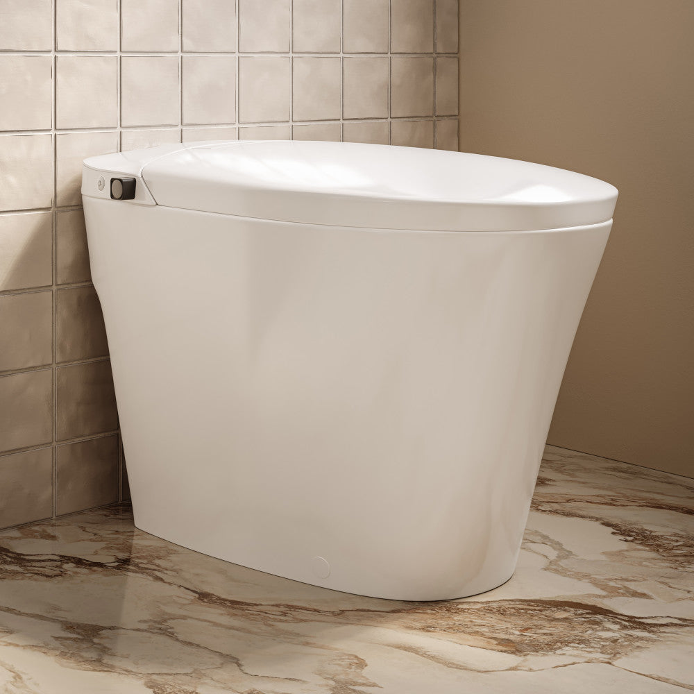 Wall Hung Toilets